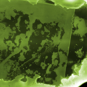 Class Tour of the Crunch Bar Factory but I Didn't Want to Go