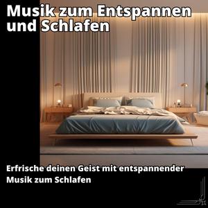 Die Symphonie der Nacht