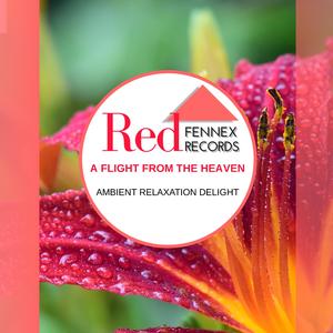 Those Wishful Temple Mornings