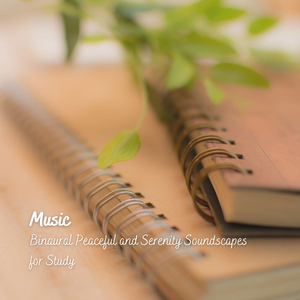 Energy Meditation Deep Sounds