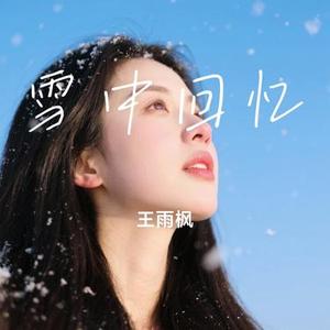 雪中回忆
