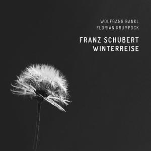 Winterreise, D.911: Frühlingstraum