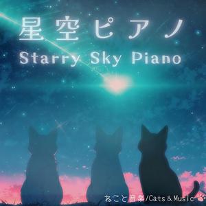 夜の帳に包まれて - Wrapped in the Night’s Veil