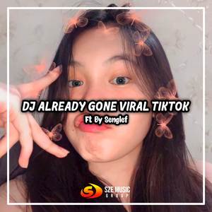 DJ Already Gone X Mashup Mengkane