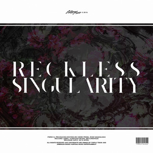 Reckless Singularity (Rob Nagdalyan Edit)