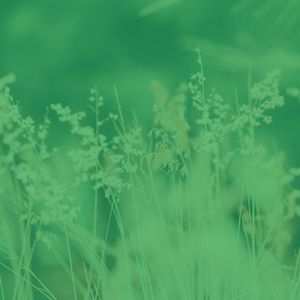 柔和的矿物浴时刻