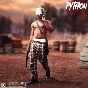Python