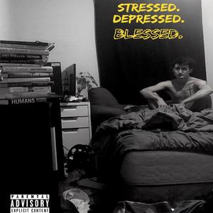 Cats the Movie Musical