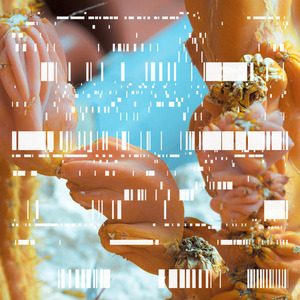 PHOL8 (Pseudopolis Remix)