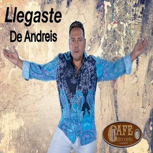 Llegaste (Urban Remix)