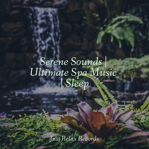 Whispering Petals' Siren Song