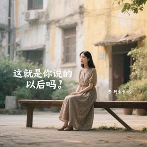 这就是你说的以后吗