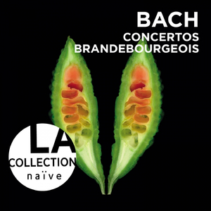 Concerto No 1 in F Major BWV 1046: X.Menutet [...] ab inizio - avec Grande Reprise