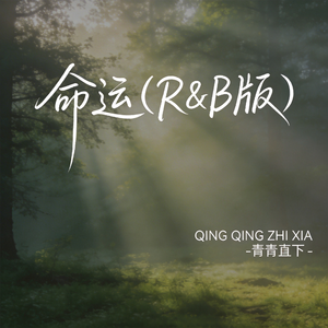 命运（R&B版）