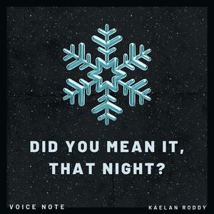 did you mean it, that night? (Voice Note)