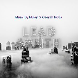 Lead Synth