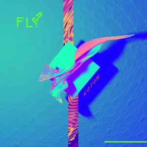 Fly