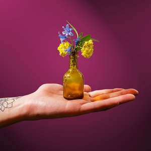 Warm Body (Live from Our Living Room) (Live from Our Living Room)