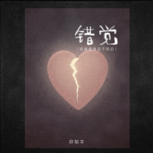 错觉 (唉哎爱我总是不明白)