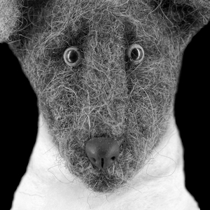 Мы все равны