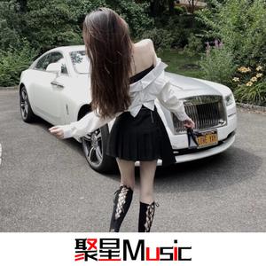 再见亦是泪(抖音DJ热搜版)