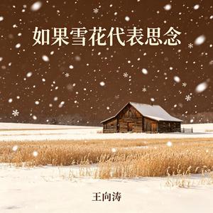 如果雪花代表思念