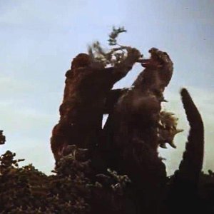 没权利去忘记你