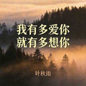 我有多爱你就有多想你