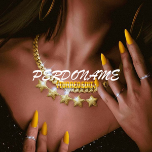 Perdoname (Turreo Edit)