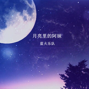 月亮里的阿妹（DJ版）