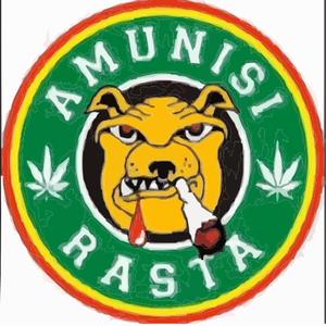 Isi Amunisi