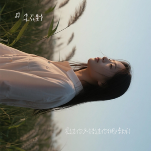 爱过你但又错过你