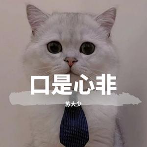 口是心非(抖音版)