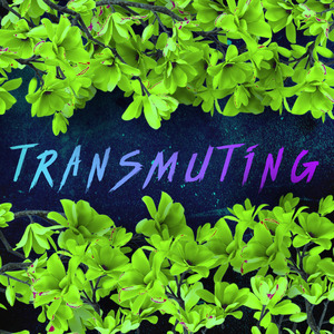 Transmuting