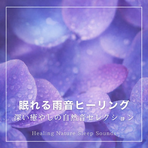 葉音と雨垂れ - 頭を空っぽにする安らぎの自然音