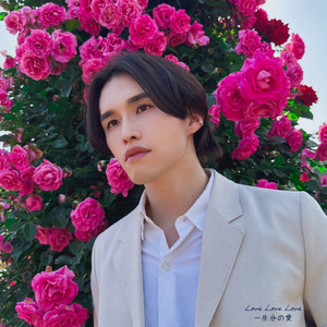 Love Love Love 一生分の愛 (Instrumental)