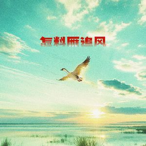 怎料雁追风