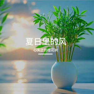 乘着白云守在你身边-歌声