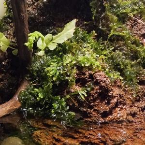 Dj Ricky Remixing Beat Drop (Remix)