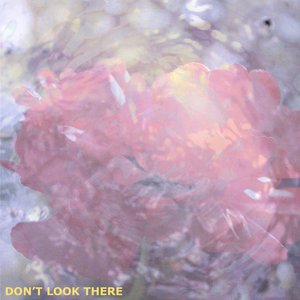 Don't Look There