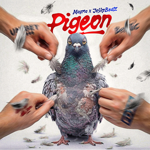 PIGEON