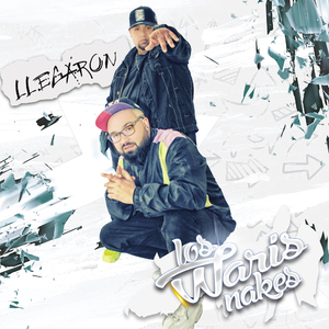 Me vale madres (Demo)