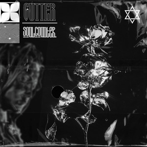 Gutter