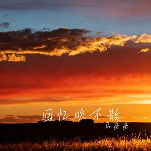 回忆吹不散 (Cover 王佳音)