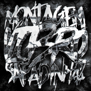 MONTAGEM VIBRO SAFADINHA 2