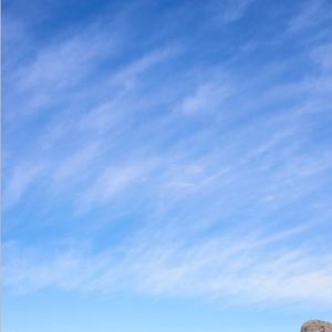 拥抱痛苦即是超越痛苦