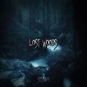 Lost Woods (Slowed + Reverb)