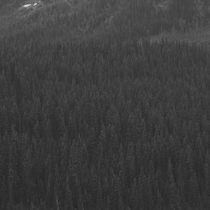 微妙的蒸气浴心情