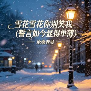 雪花雪花你别笑我(誓言如今显得单薄)