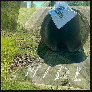 Hide